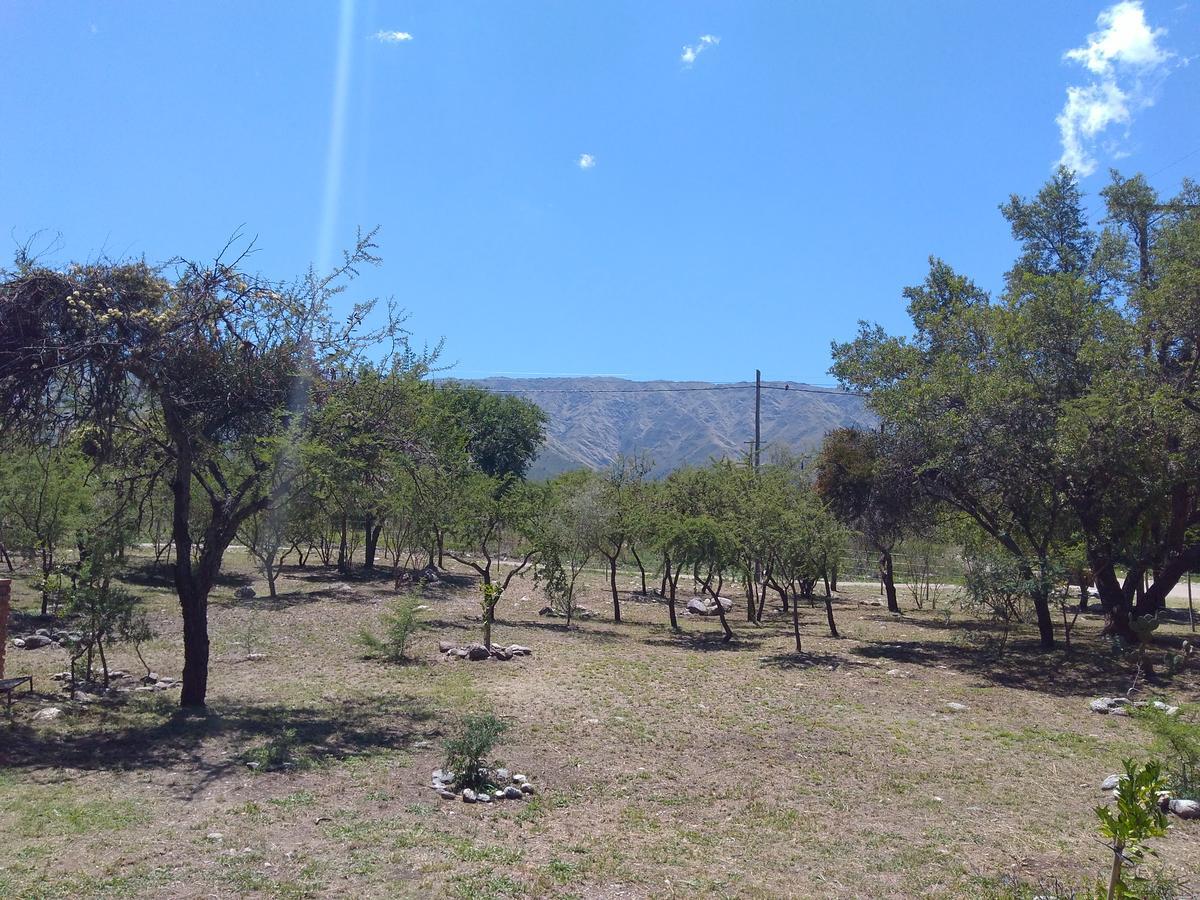 Holiday home Antiguo Molle *