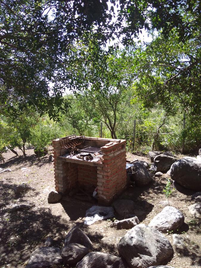 Antiguo Molle